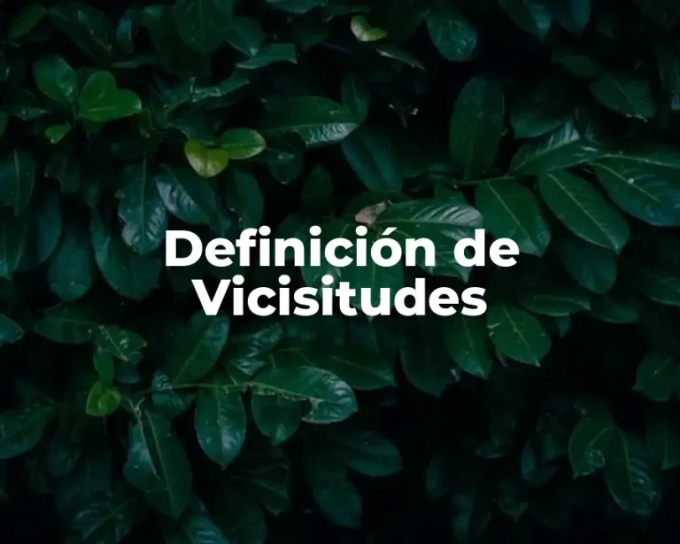 Definición de Vicisitudes