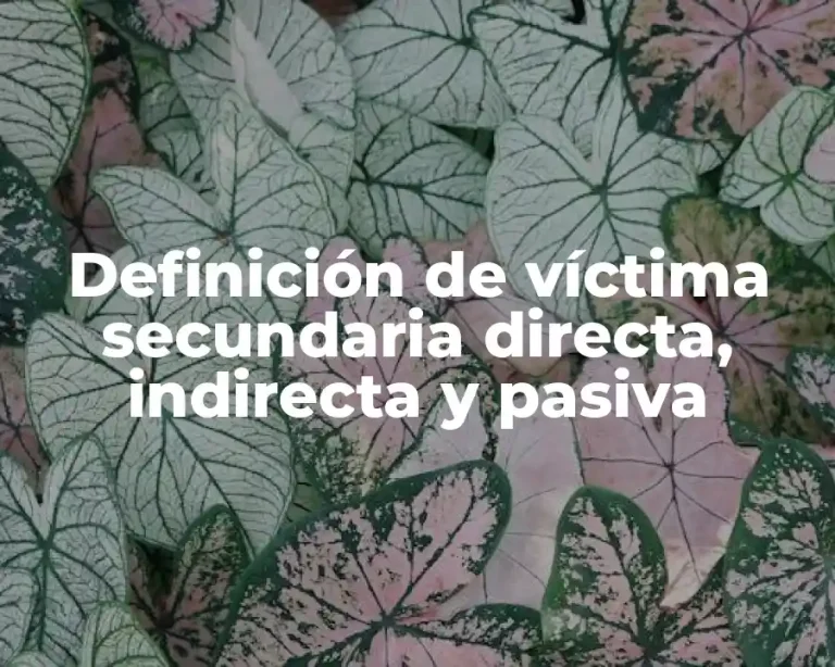 Definición de víctima secundaria directa, indirecta y pasiva