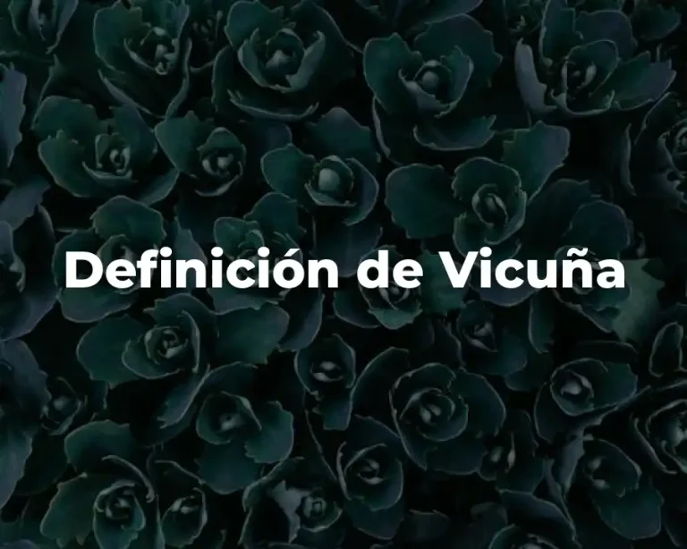 Definición de Vicuña