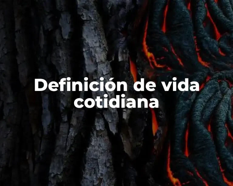 Definición de vida cotidiana