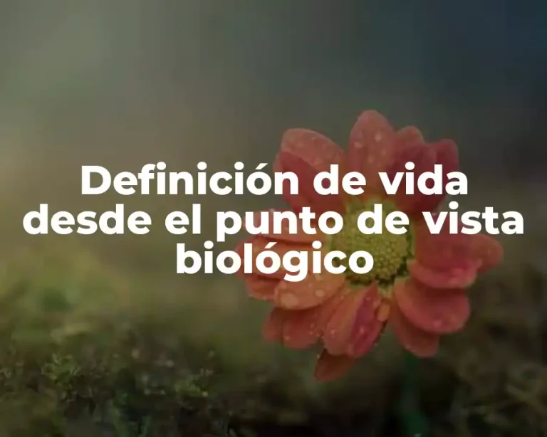 Definición de vida desde el punto de vista biológico