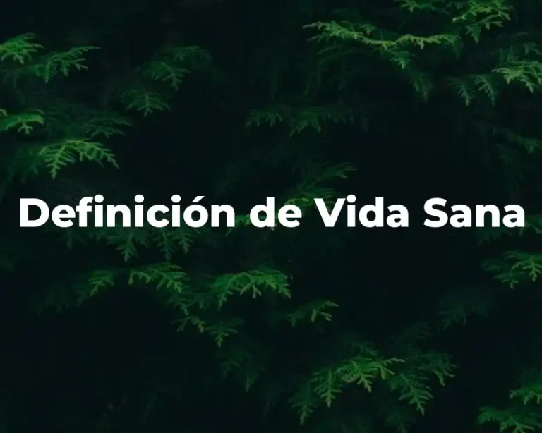 Definición de Vida Sana