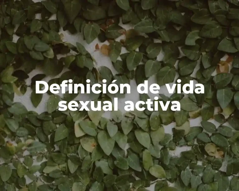 Definición de vida sexual activa