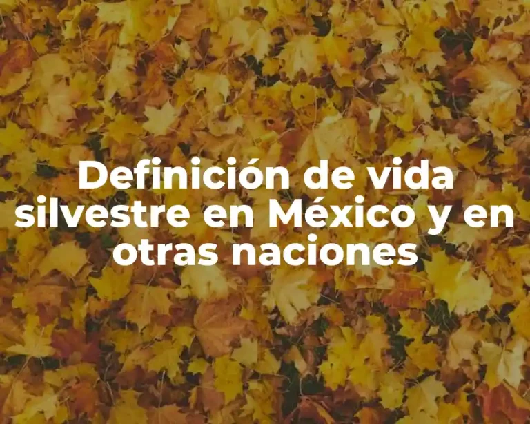 Definición de vida silvestre en México y en otras naciones