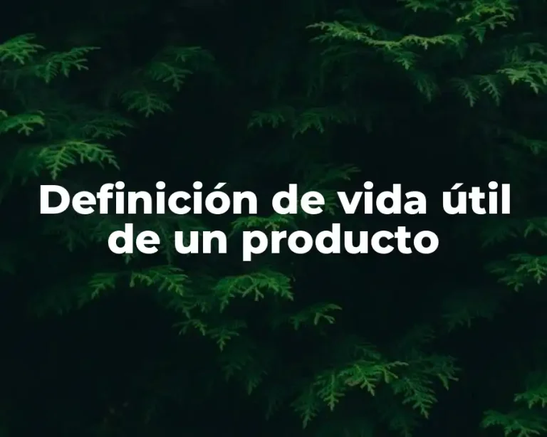 Definición de vida útil de un producto