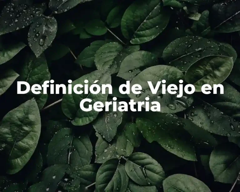 Definición de Viejo en Geriatria