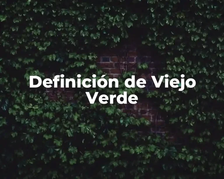 Definición de Viejo Verde