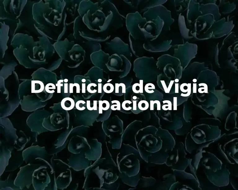 Definición de Vigia Ocupacional