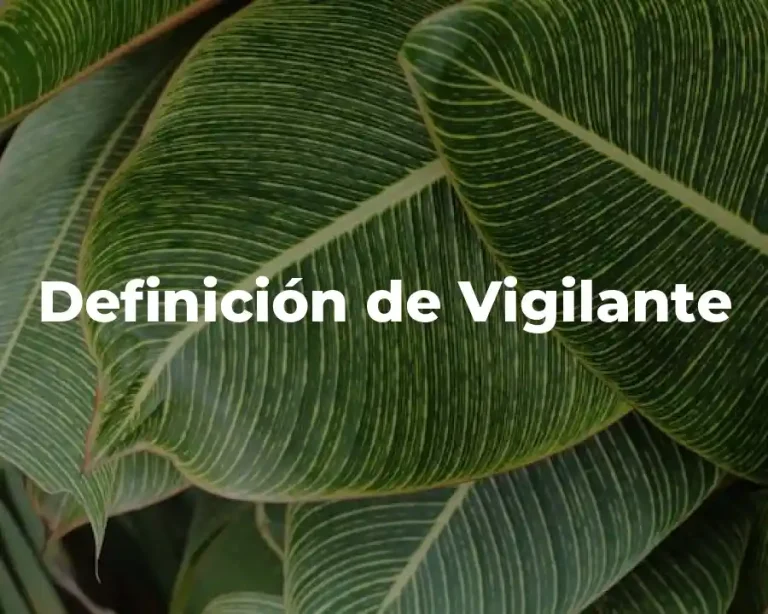 Definición de Vigilante