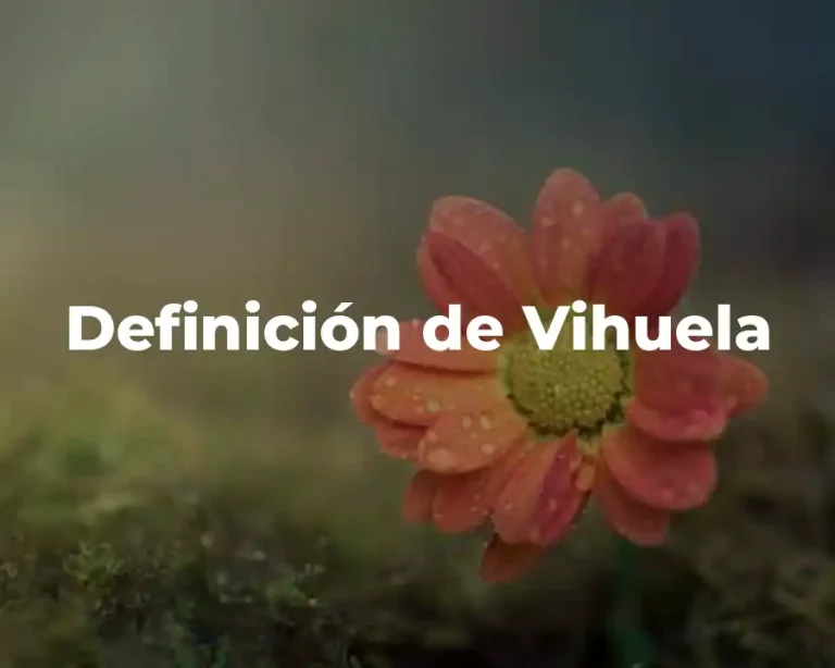 Definición de Vihuela