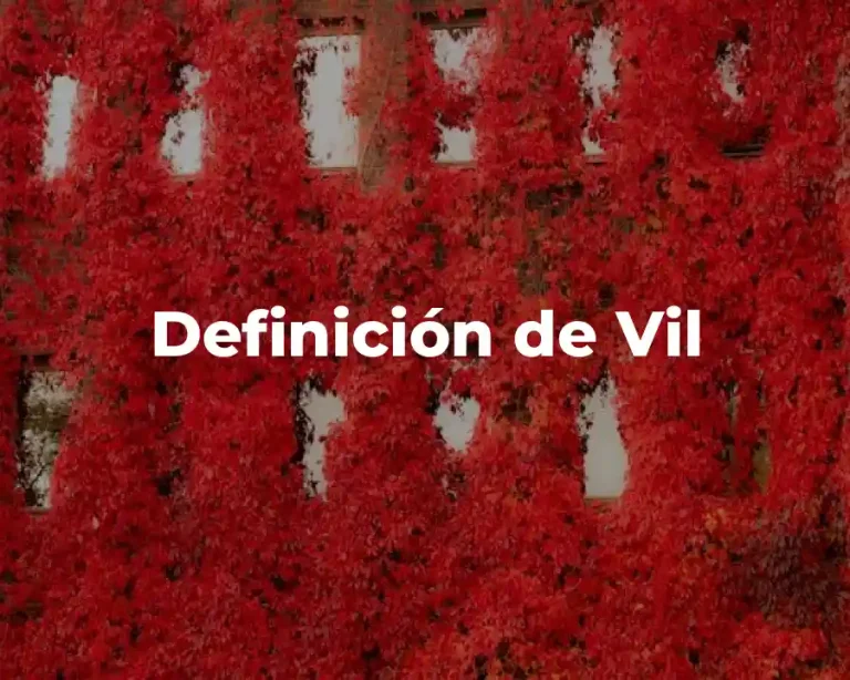 Definición de Vil