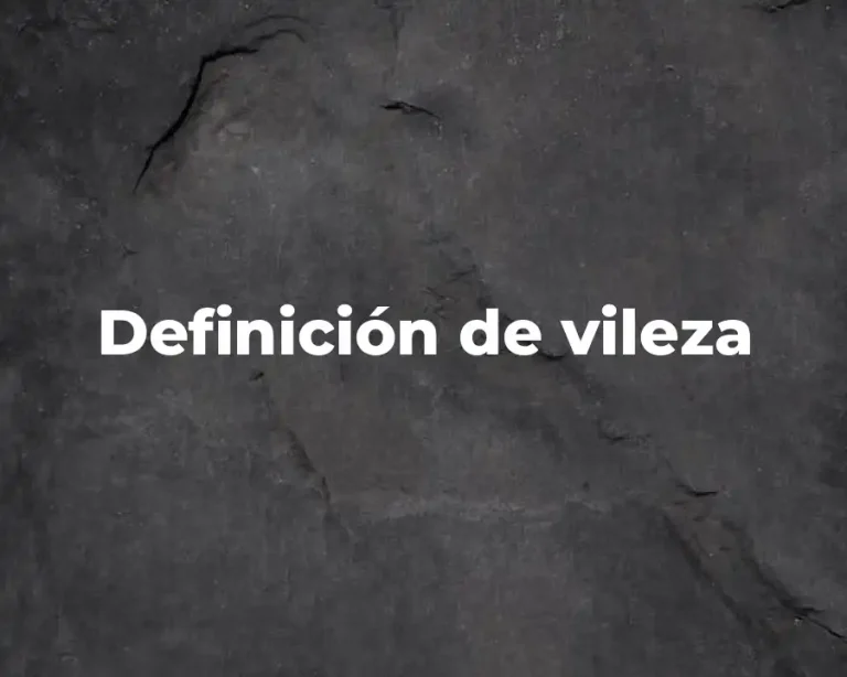 Definición de vileza