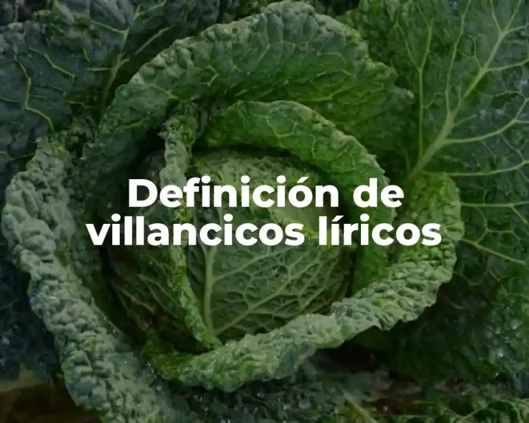 Definición de villancicos líricos