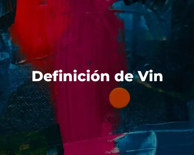 Definición de Vin