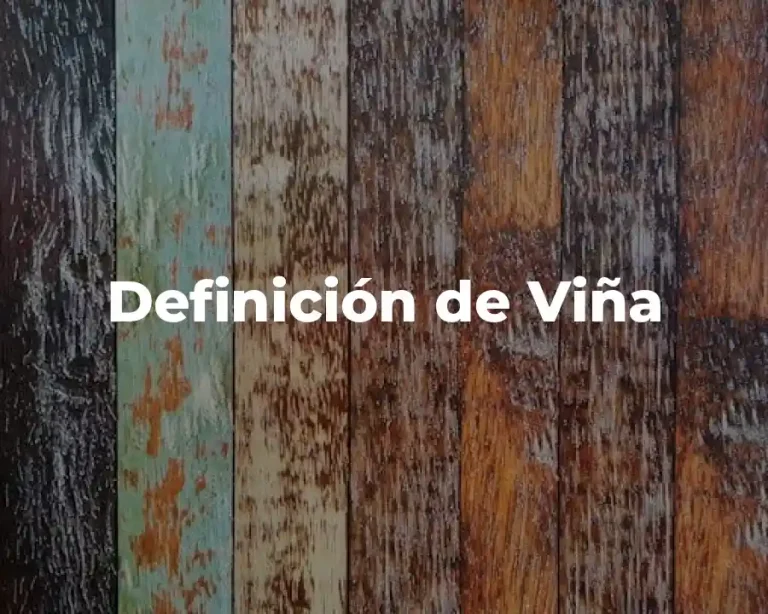 Definición de Viña