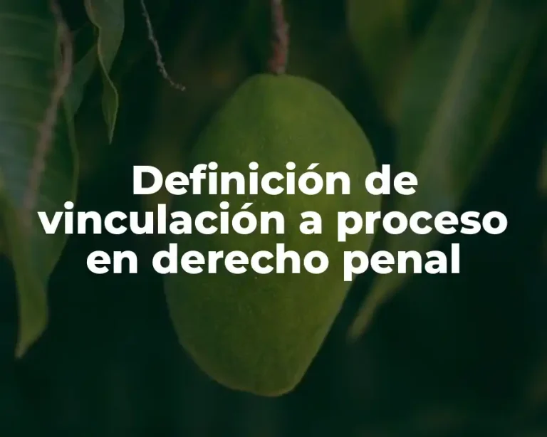 Definición de vinculación a proceso en derecho penal