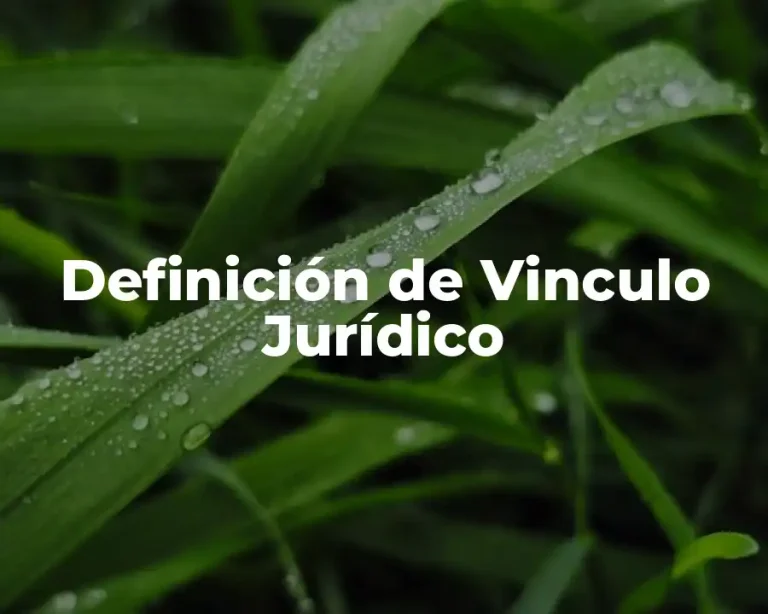 Definición de Vinculo Jurídico