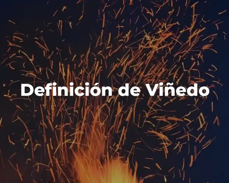 Definición de Viñedo