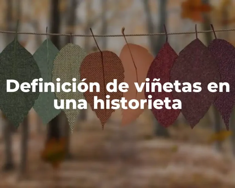 Definición de viñetas en una historieta