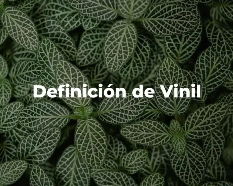 Definición de Vinil