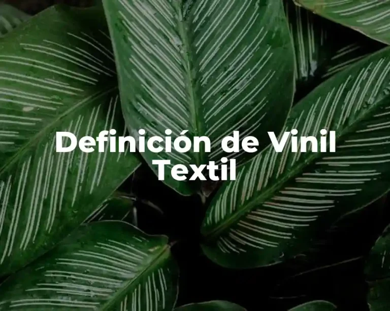 Definición de Vinil Textil