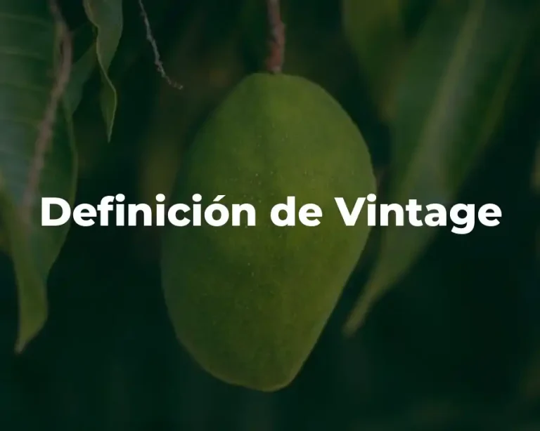 Definición de Vintage