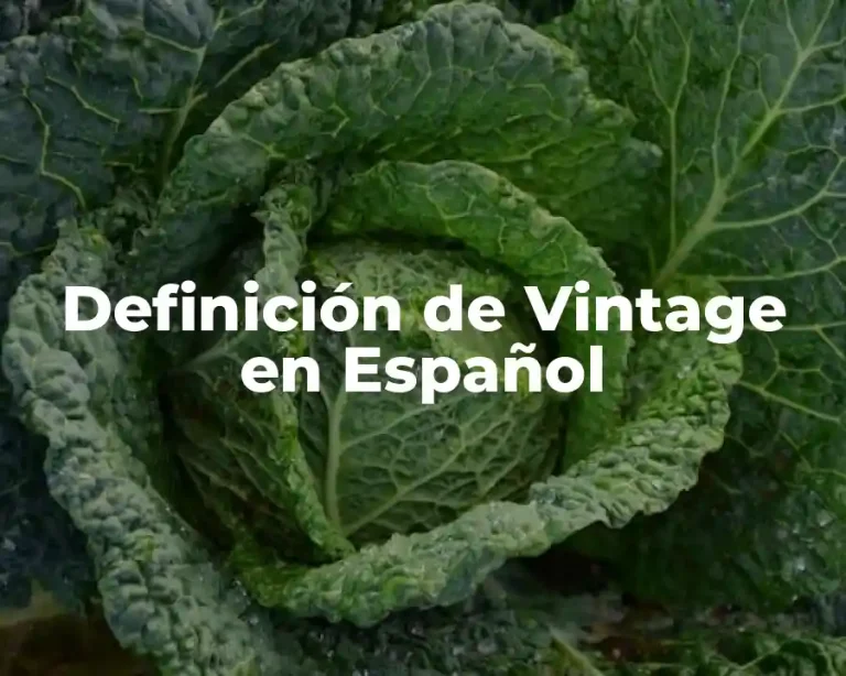 Definición de Vintage en Español