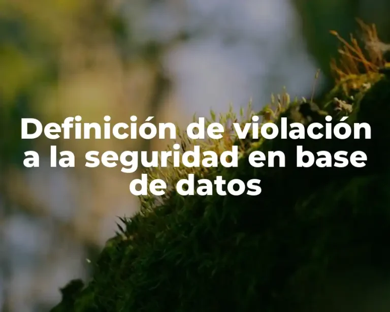 Definición de violación a la seguridad en base de datos
