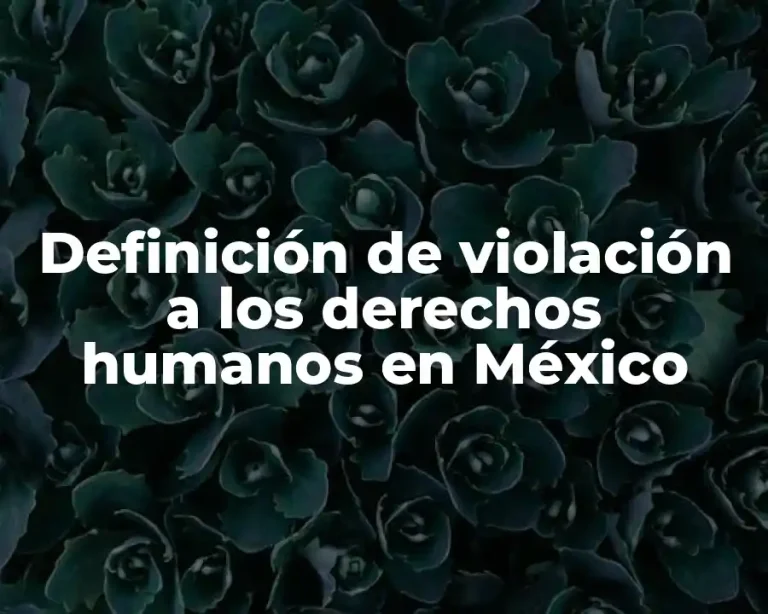 Definición de violación a los derechos humanos en México