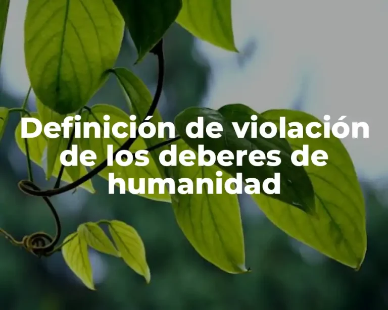 Definición de violación de los deberes de humanidad