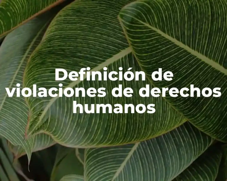 Definición de violaciones de derechos humanos