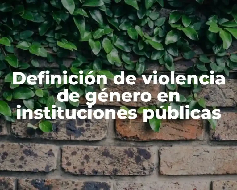 Definición de violencia de género en instituciones públicas
