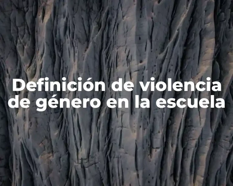Definición de violencia de género en la escuela