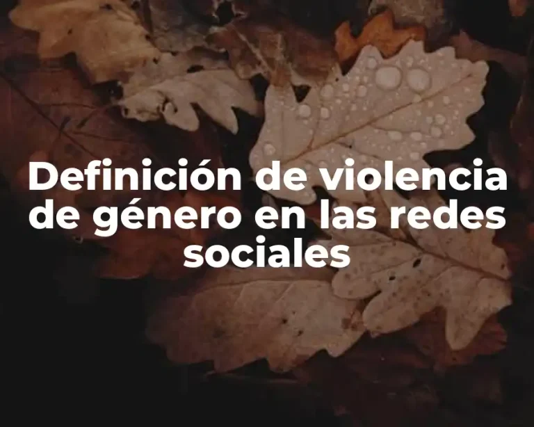 Definición de violencia de género en las redes sociales