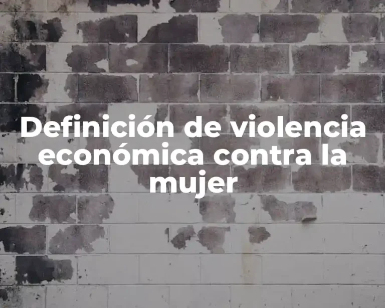 Definición de violencia económica contra la mujer