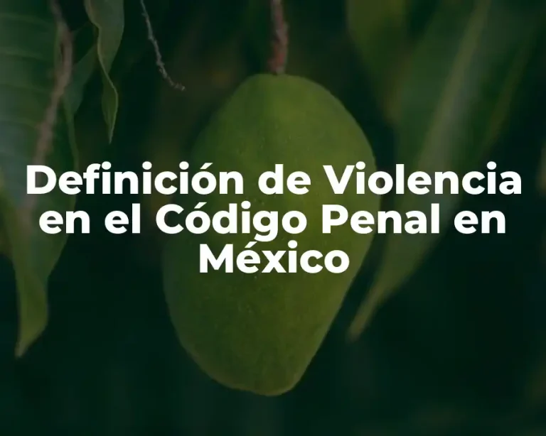 Definición de Violencia en el Código Penal en México