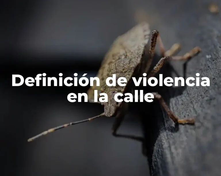 Definición de violencia en la calle