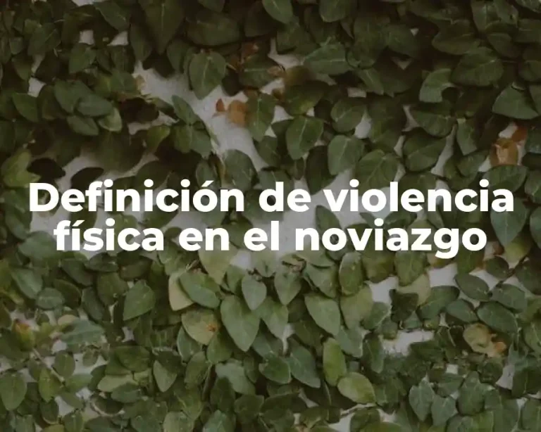 Definición de violencia física en el noviazgo