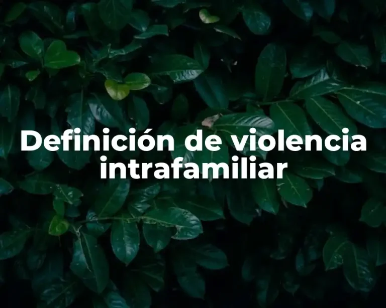 Definición de violencia intrafamiliar