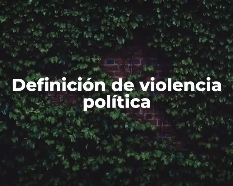 Definición de violencia política