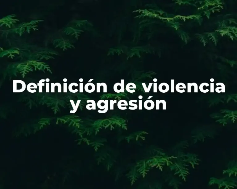 Definición de violencia y agresión