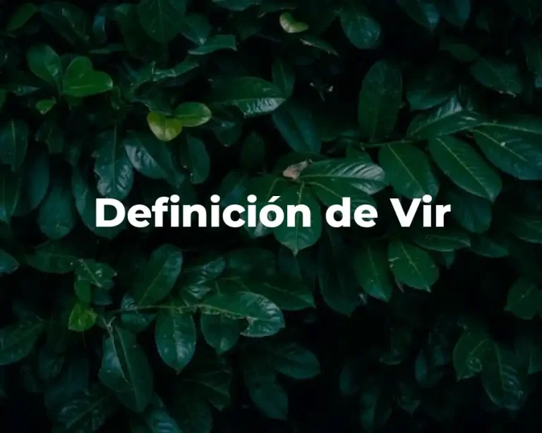 Definición de Vir