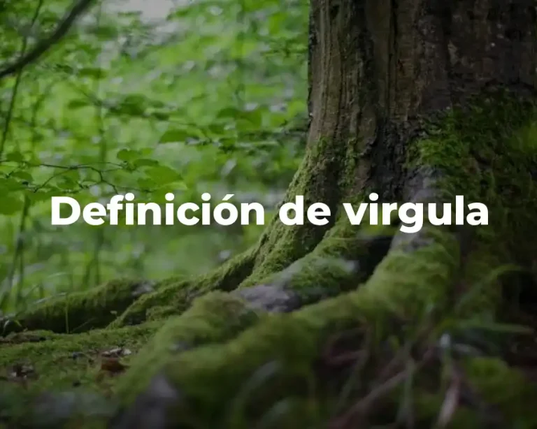 Definición de virgula
