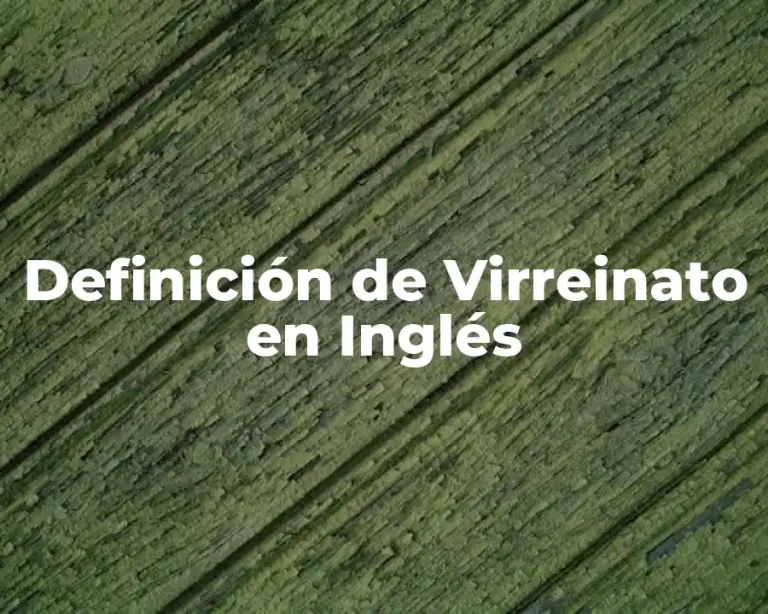 Definición de Virreinato en Inglés