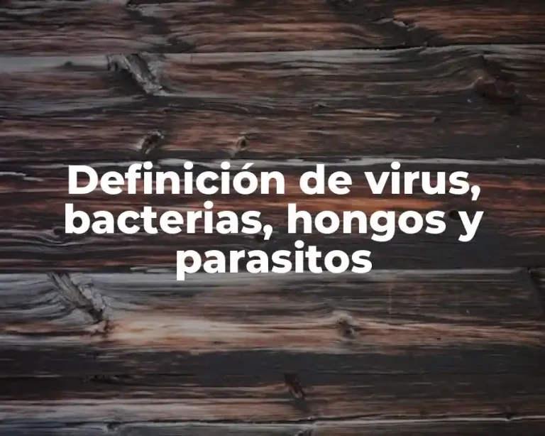 Definición de virus, bacterias, hongos y parasitos
