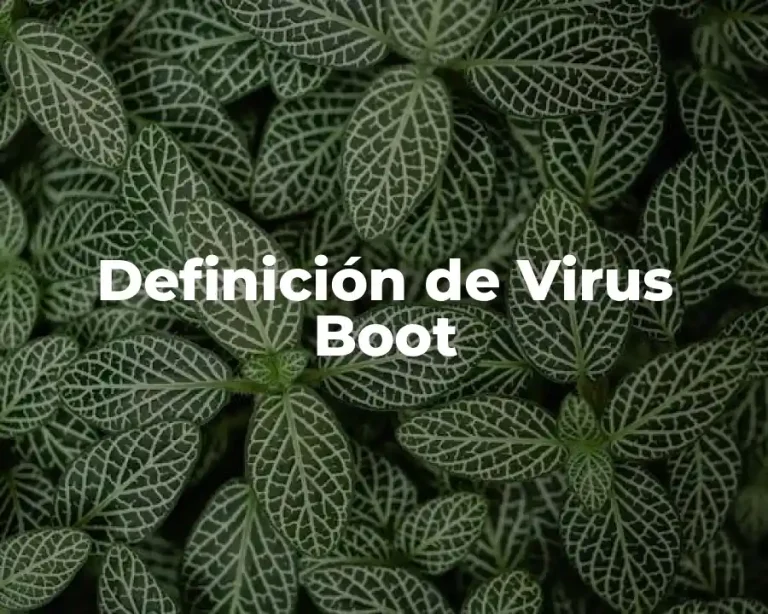Definición de Virus Boot