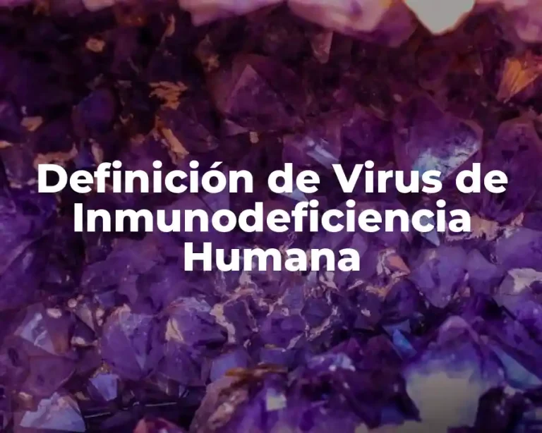 Definición de Virus de Inmunodeficiencia Humana