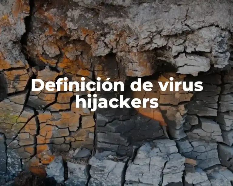 Definición de virus hijackers