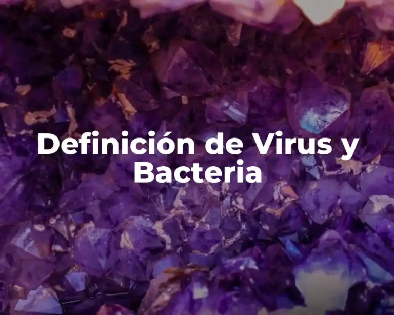 Definición de Virus y Bacteria