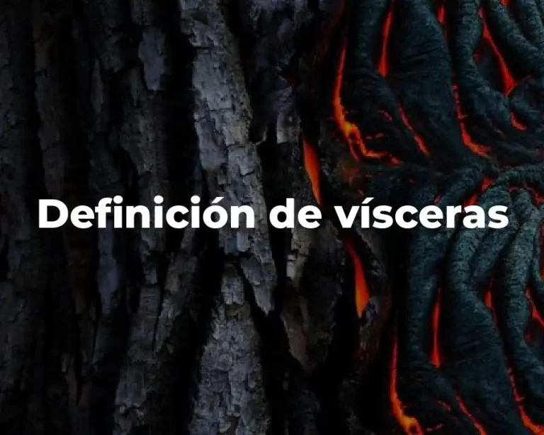 Definición de vísceras